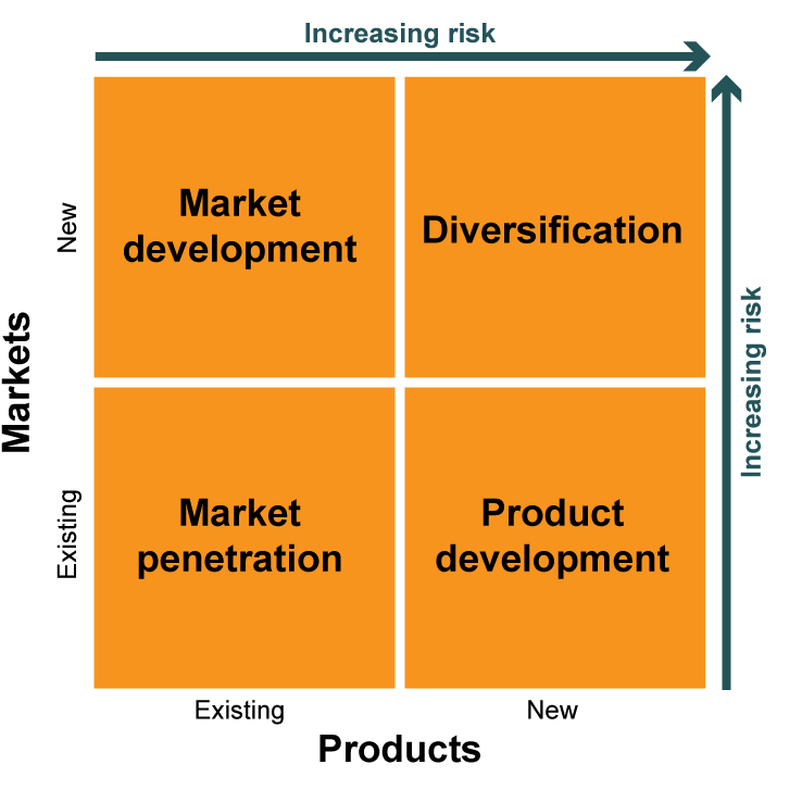 Portfolio Management for Dummies | Product Focus